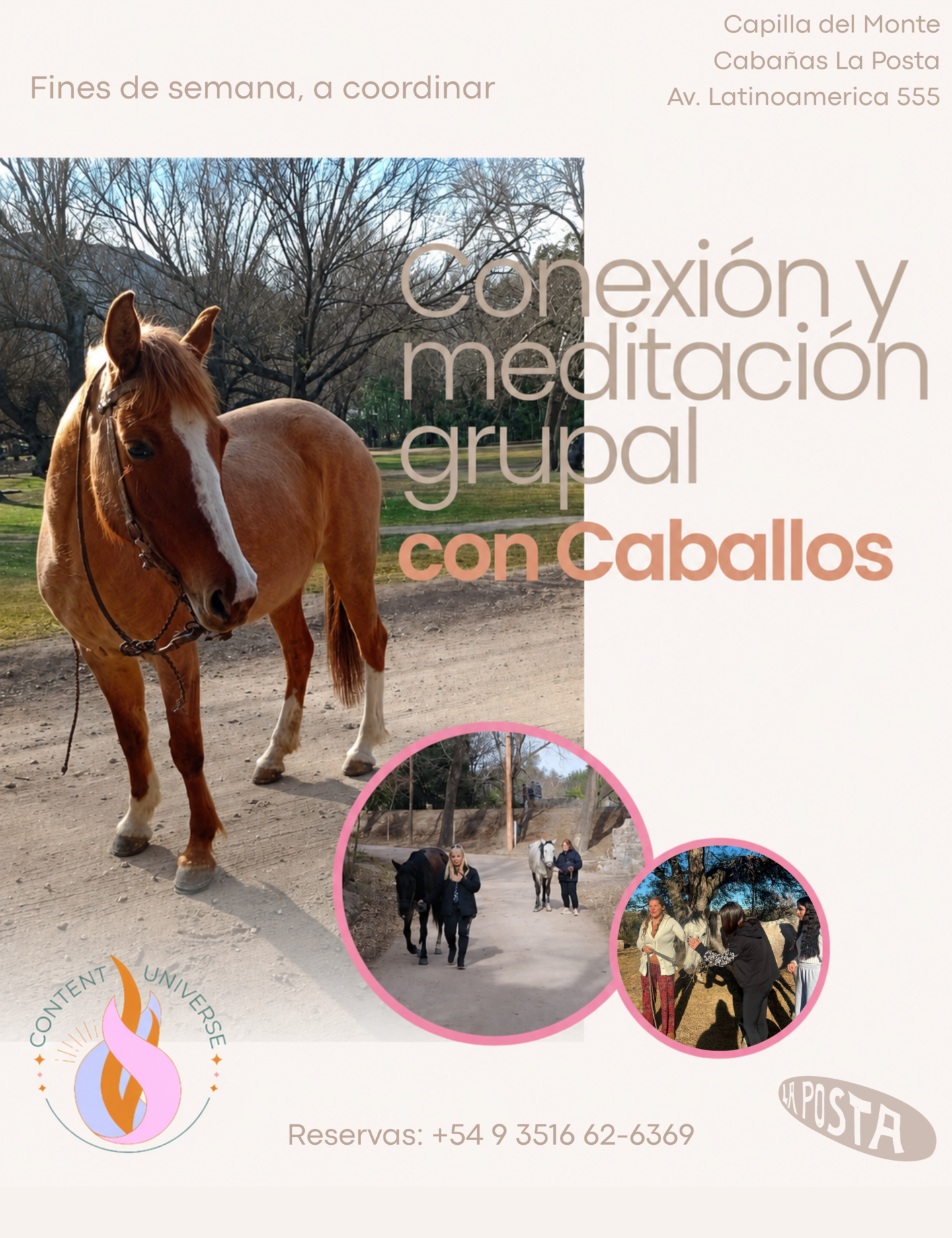 Sanación con Caballos